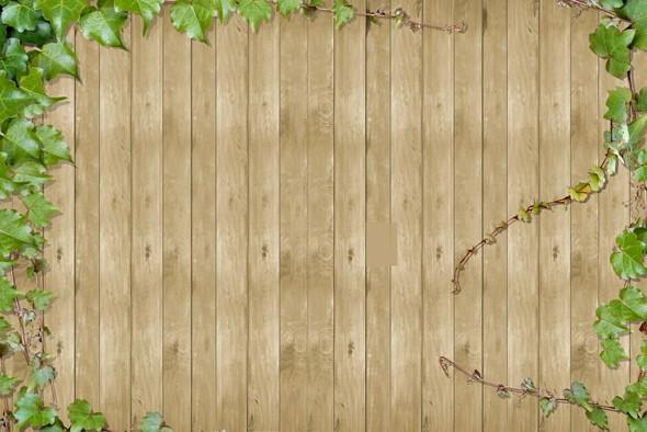 Climbing Ivies Wallpaper AJ Wallpaper