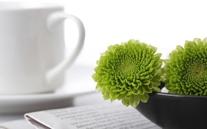 Desk Green Plants Wallpaper AJ Wallpaper