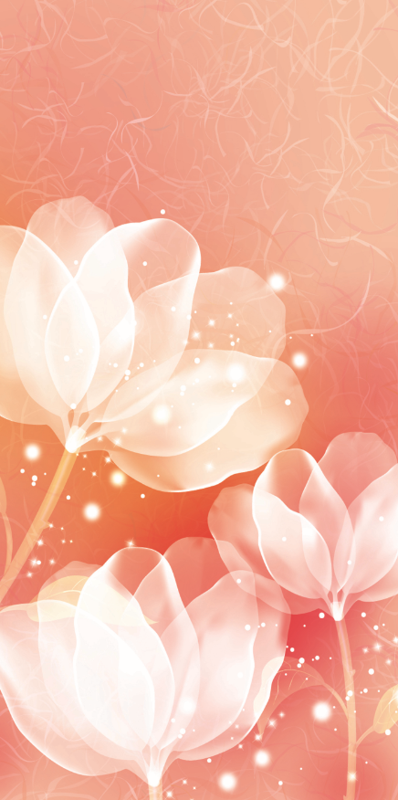 Pure Flowers 3 Wallpaper AJ Wallpaper