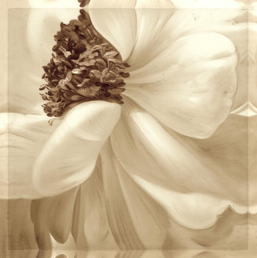 White Gardenia Wallpaper AJ Wallpaper 2