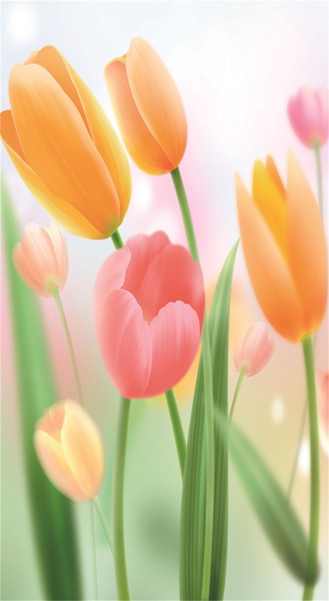 3D Elegant Tulip Flowers 114 Stair Risers Wallpaper AJ Wallpaper