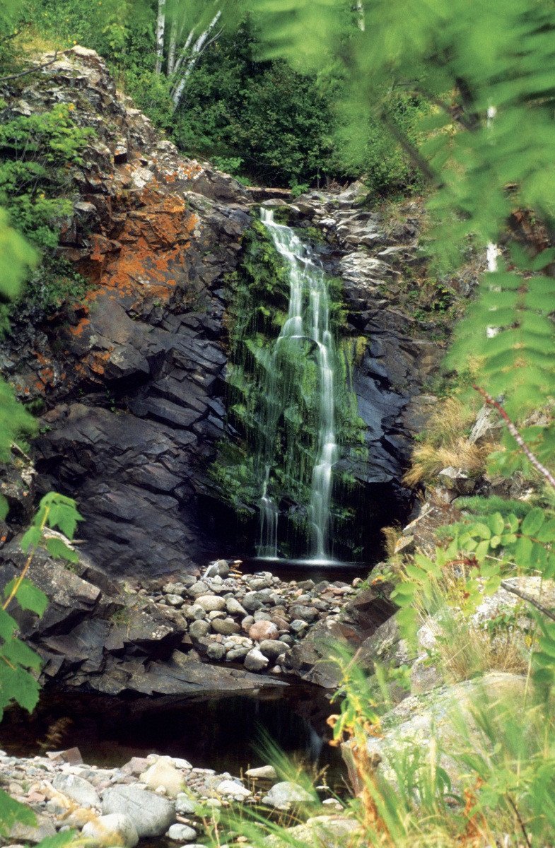 3D River Drought Period 207 Stair Risers Wallpaper AJ Wallpaper