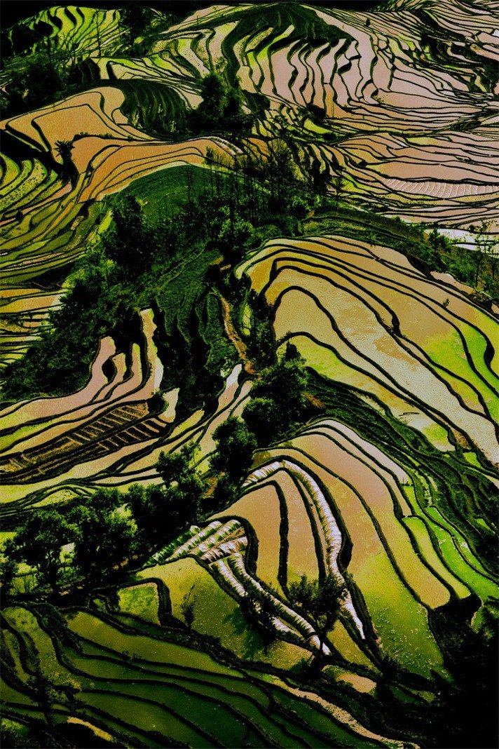 3D Pretty Farmland Scenery 316 Stair Risers Wallpaper AJ Wallpaper