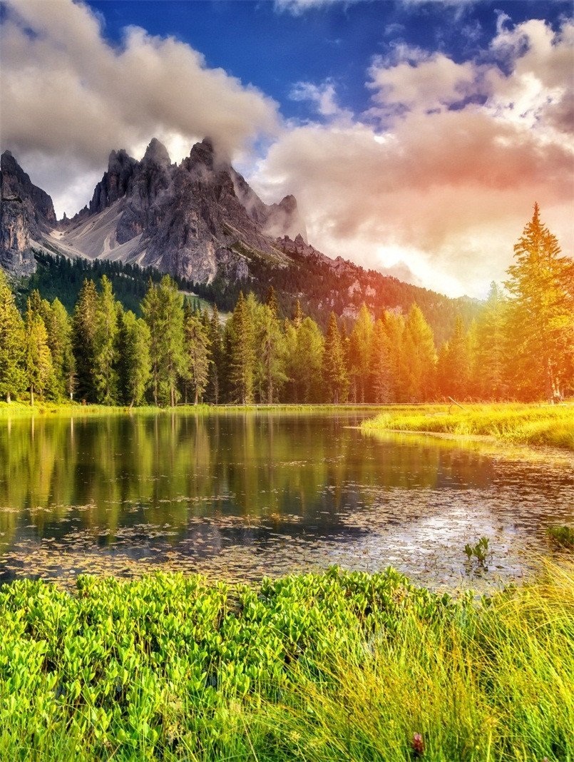 3D Mountain Forest Lake 119 Stair Risers Wallpaper AJ Wallpaper