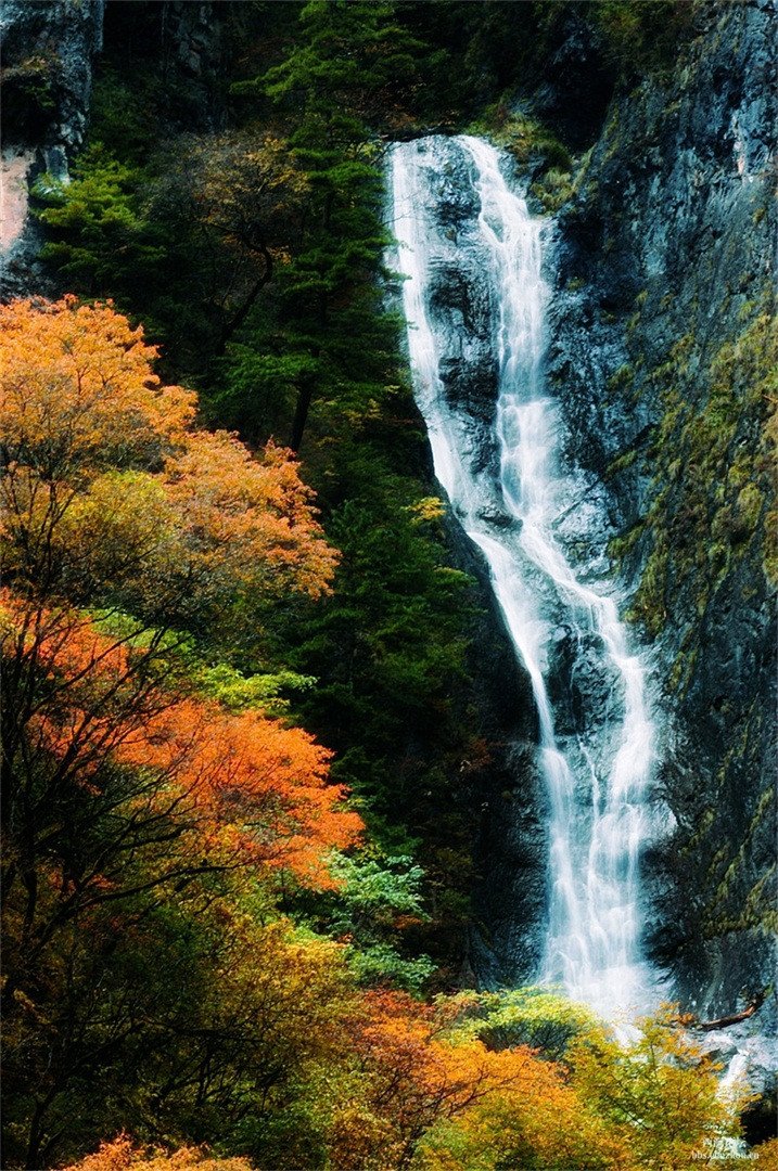 3D Slender Stream 127 Stair Risers Wallpaper AJ Wallpaper