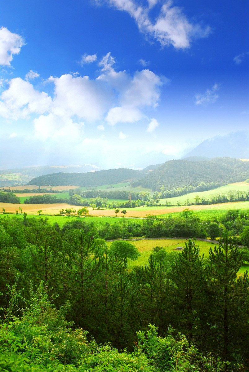 3D Mountain Farmland Scenery 129 Stair Risers Wallpaper AJ Wallpaper
