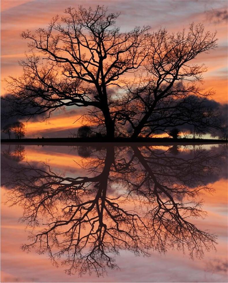 3D Lakeside Tree Sunset Scenery 502 Stair Risers Wallpaper AJ Wallpaper