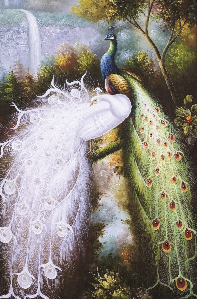 3D Beautiful Peacocks 602 Stair Risers Wallpaper AJ Wallpaper