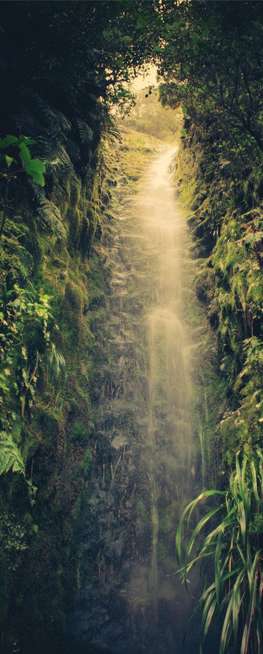 3D a little light in the green door mural Wallpaper AJ Wallpaper