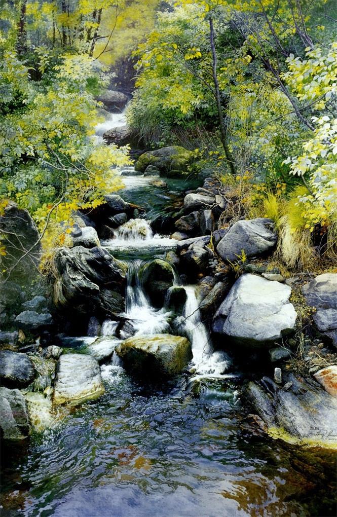 3D Forest River Stones 658 Stair Risers Wallpaper AJ Wallpaper