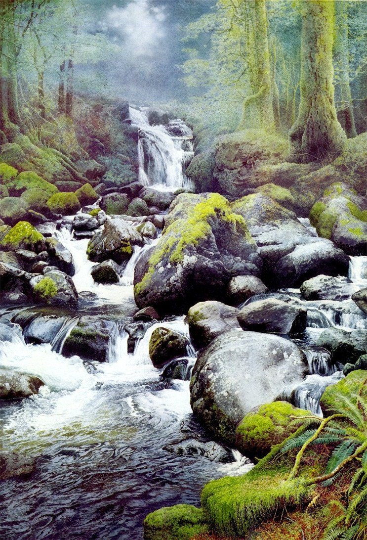 3D River Stones 756 Stair Risers Wallpaper AJ Wallpaper