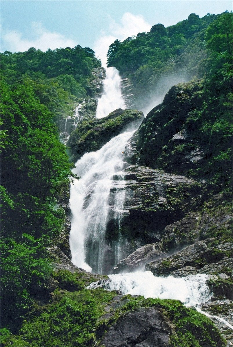 3D Mountain Stream 656 Stair Risers Wallpaper AJ Wallpaper