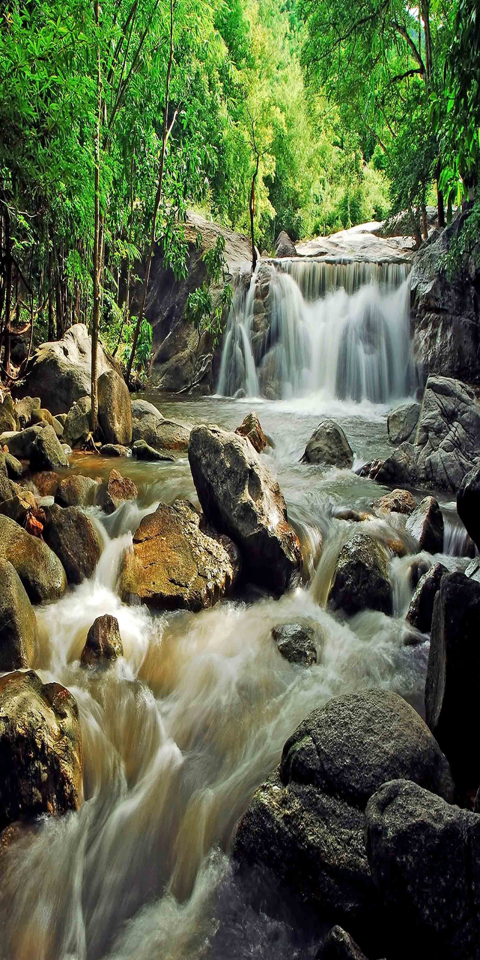 3D Green Forest River 828 Stair Risers Wallpaper AJ Wallpaper