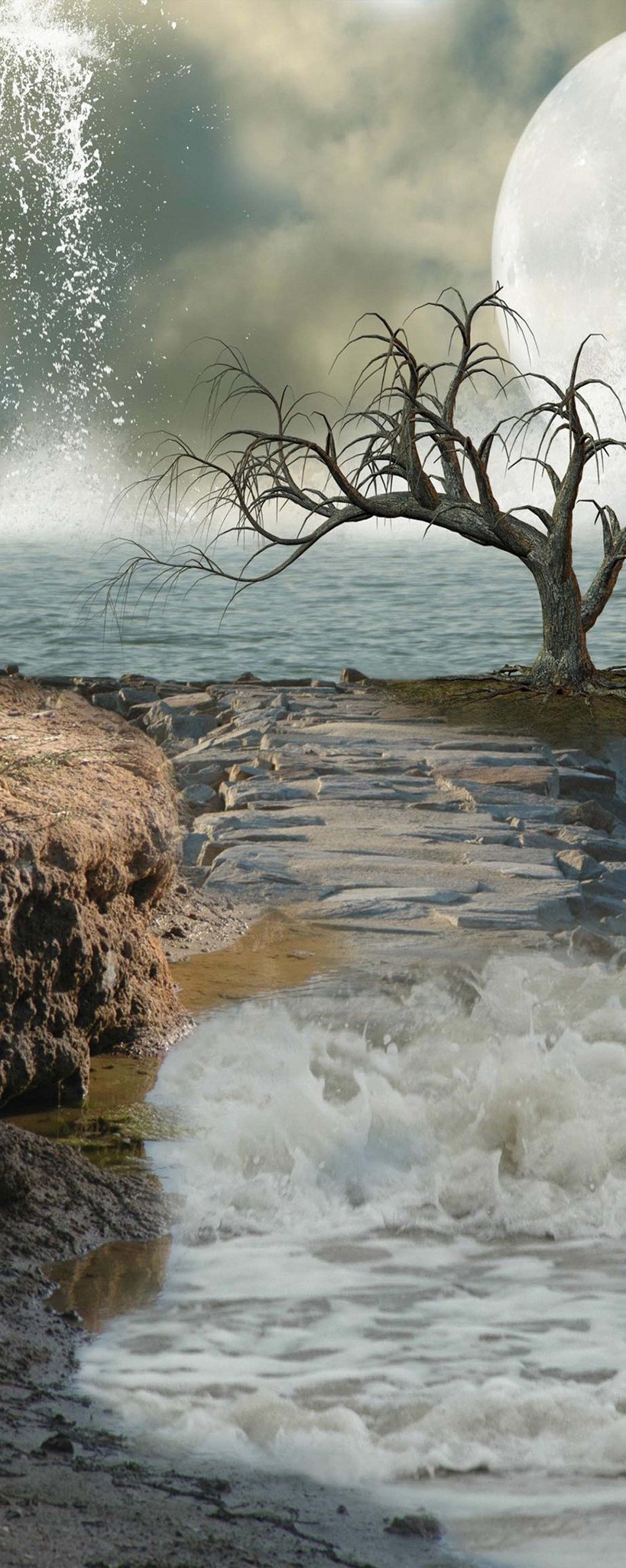 3D Seaside Bare Tree 948 Stair Risers Wallpaper AJ Wallpaper