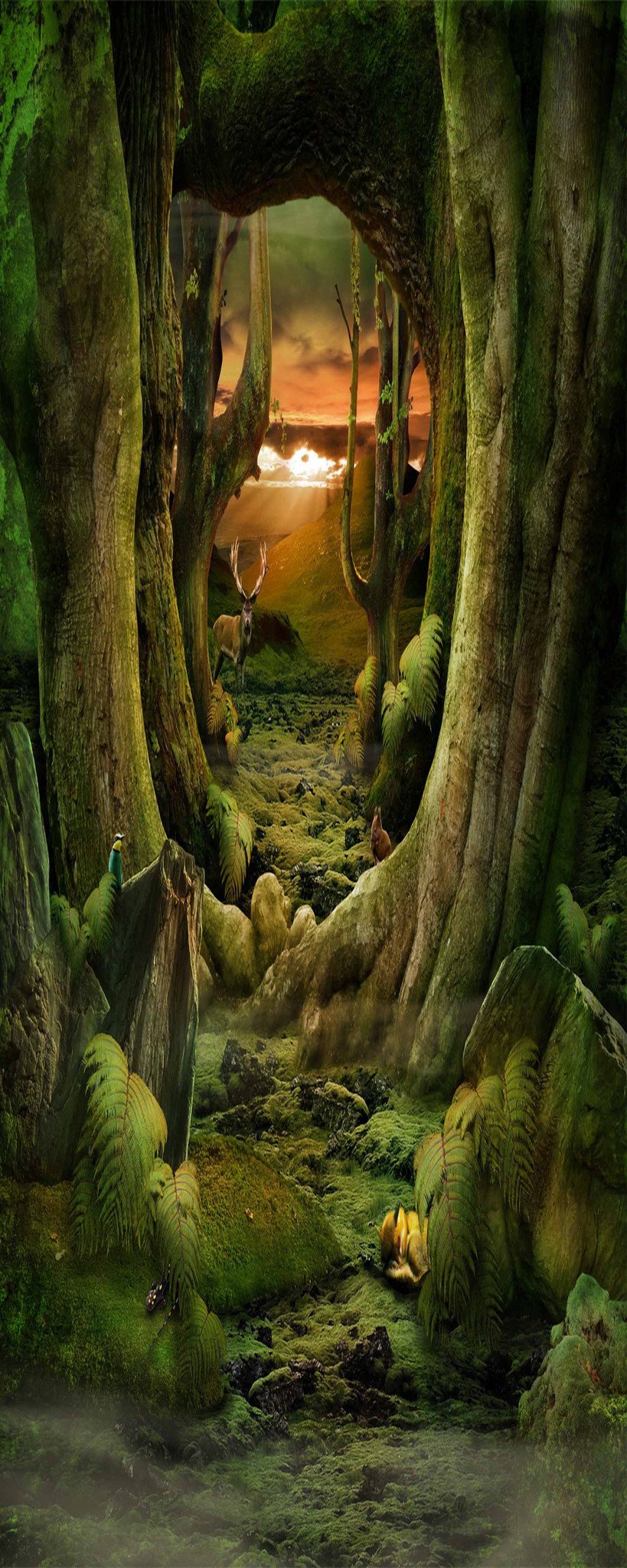 3D Forest Animals Path 933 Stair Risers Wallpaper AJ Wallpaper