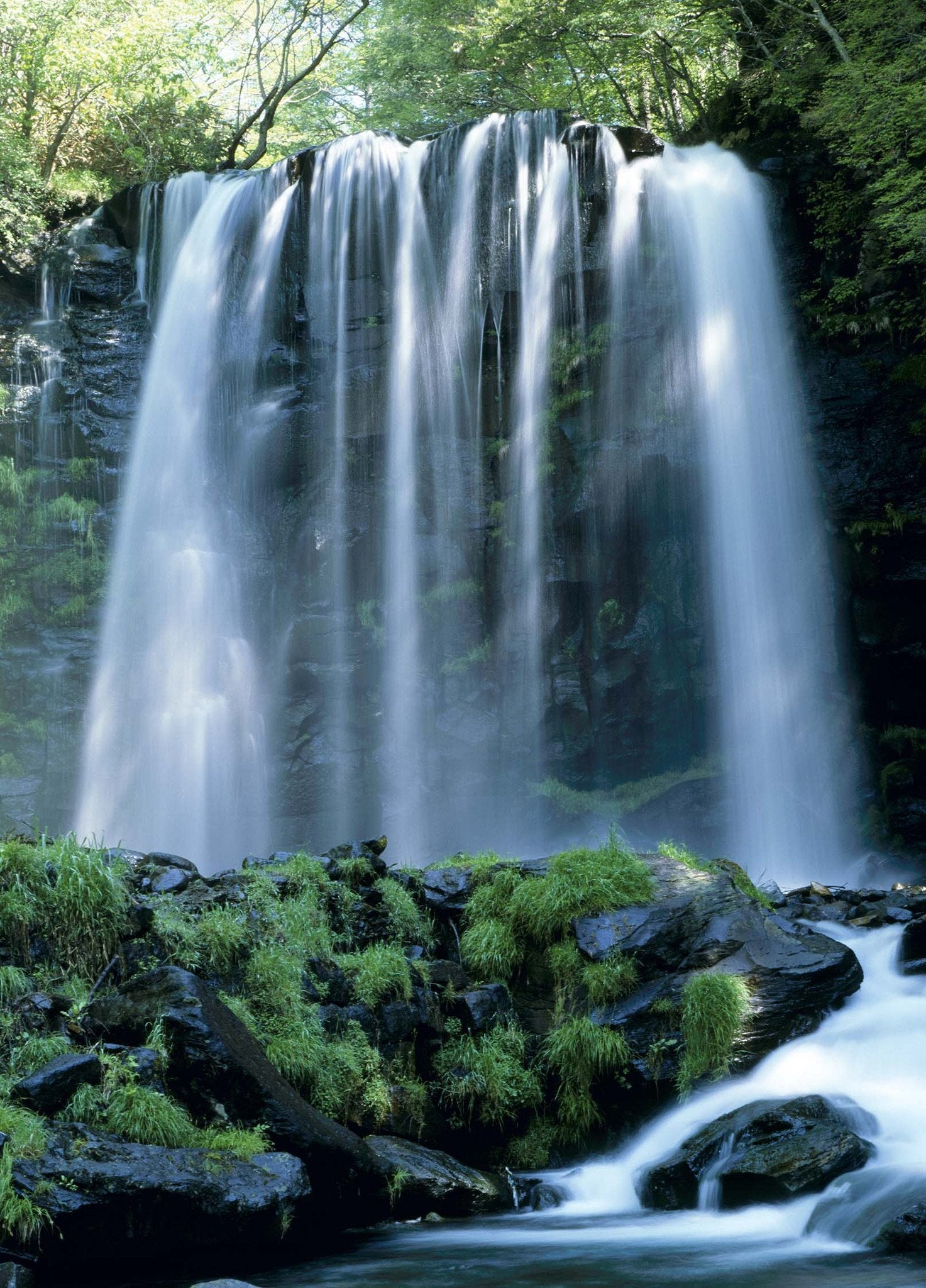 3D Forest Waterfall 919 Stair Risers Wallpaper AJ Wallpaper