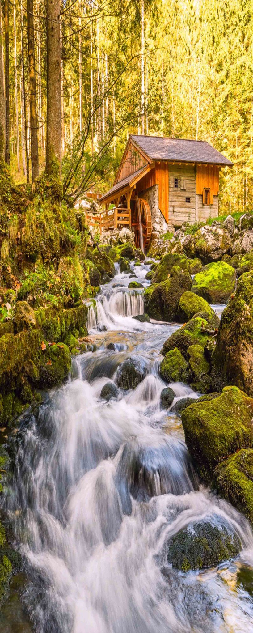 3D Riverside Wood Hut 911 Stair Risers Wallpaper AJ Wallpaper