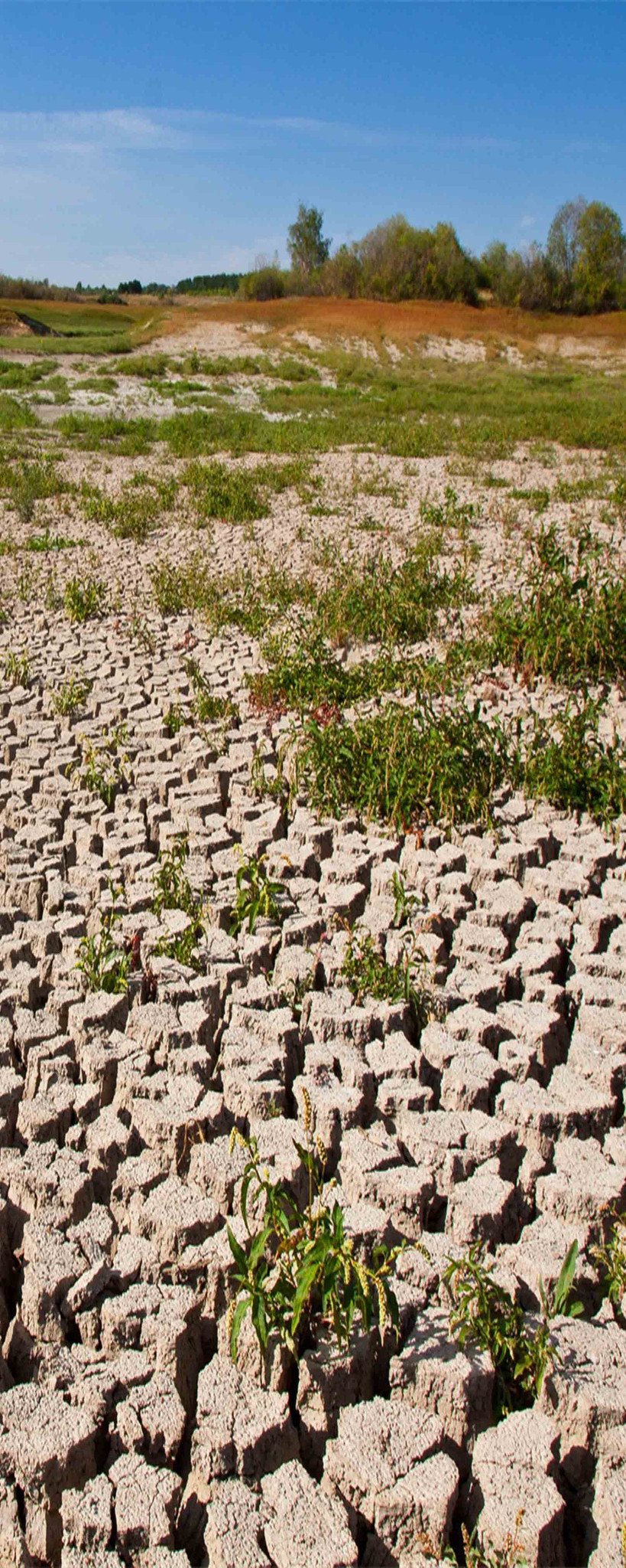 3D Land Cracks 910 Stair Risers Wallpaper AJ Wallpaper