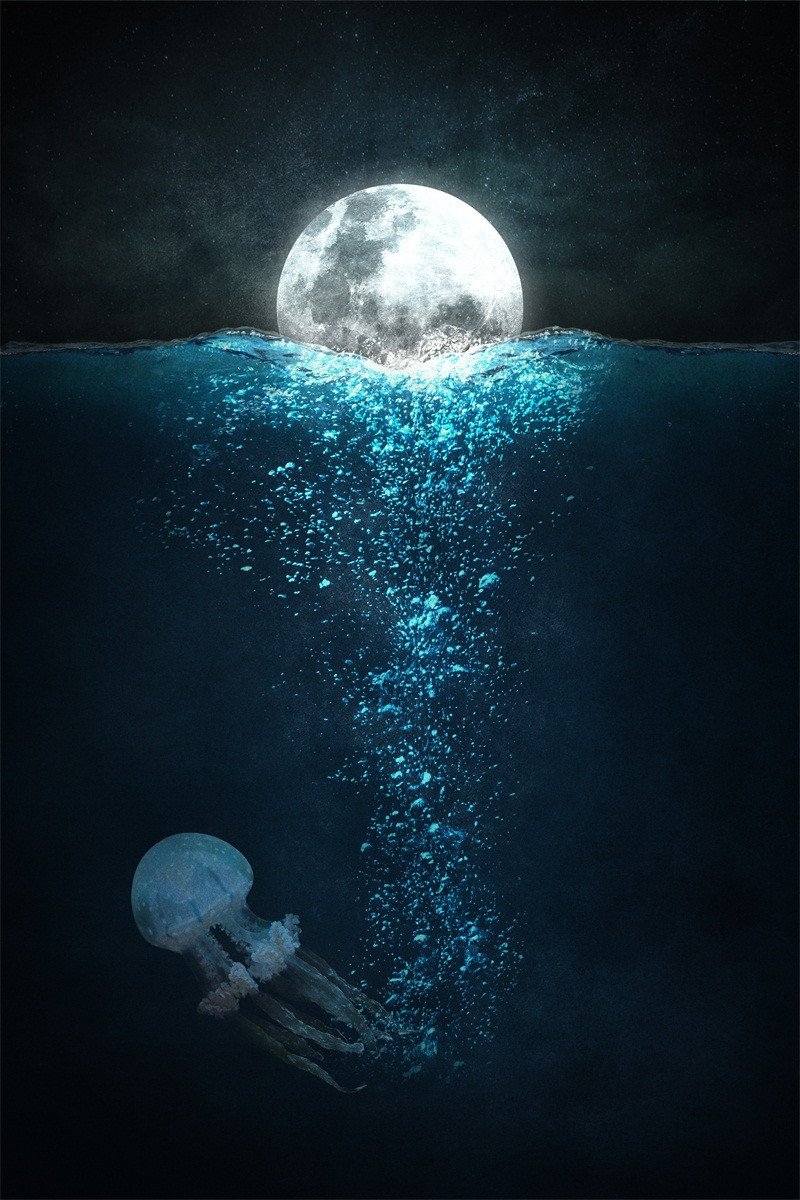 3D Ocean Full Moon 22 Stair Risers Wallpaper AJ Wallpaper