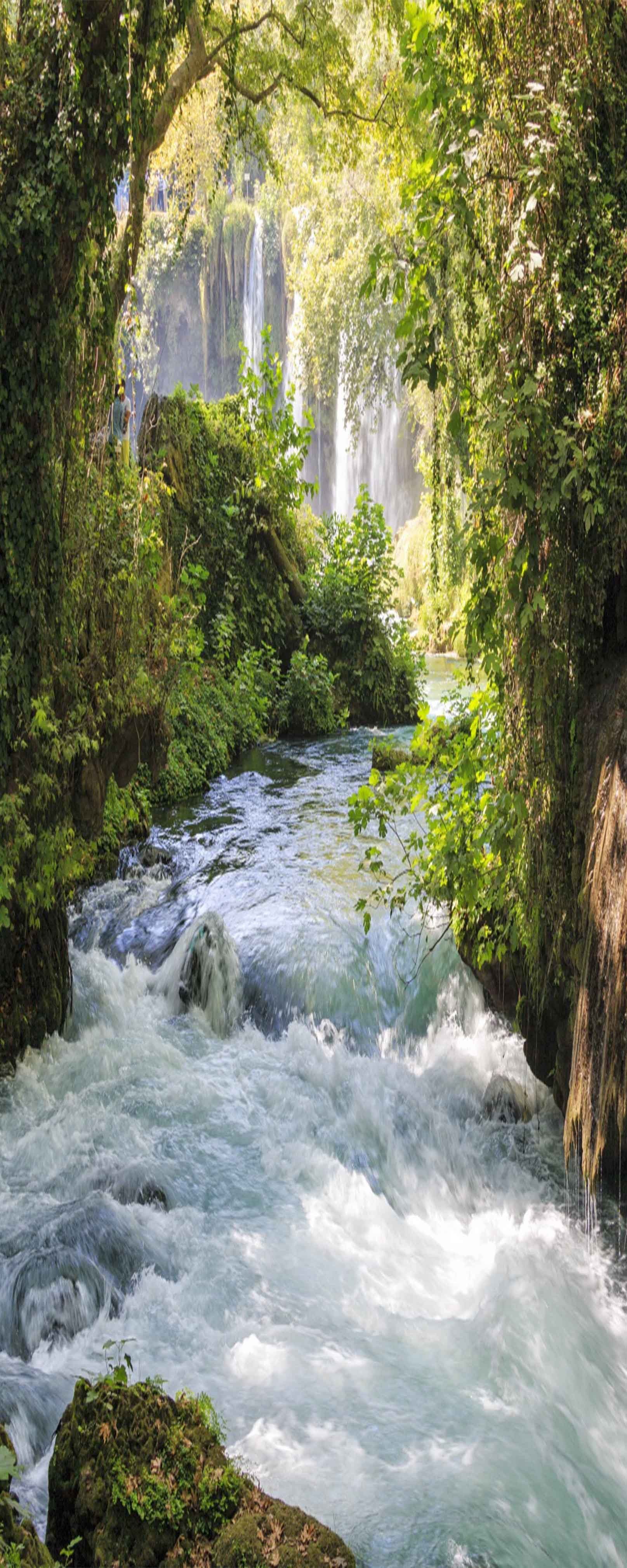 3D Riverside Green Vine 731 Stair Risers Wallpaper AJ Wallpaper