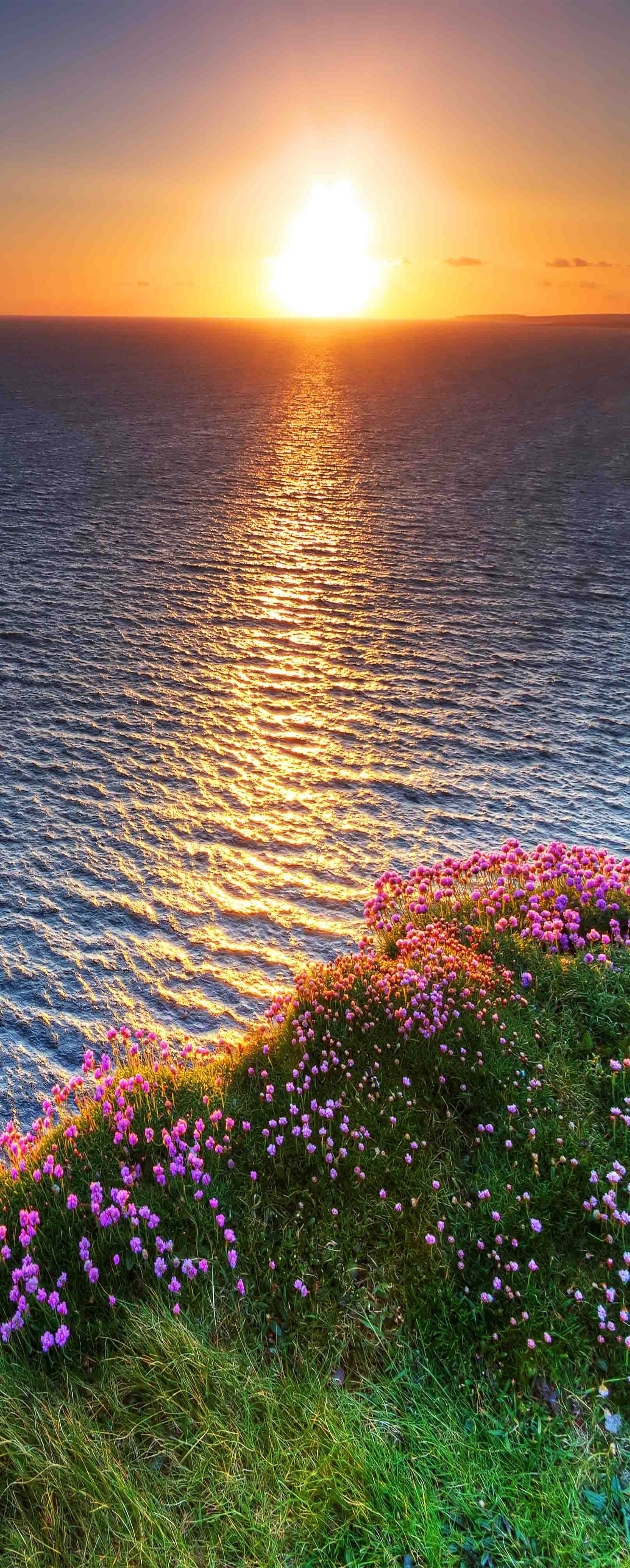 3D Sea Sunset Flowers 728 Stair Risers Wallpaper AJ Wallpaper