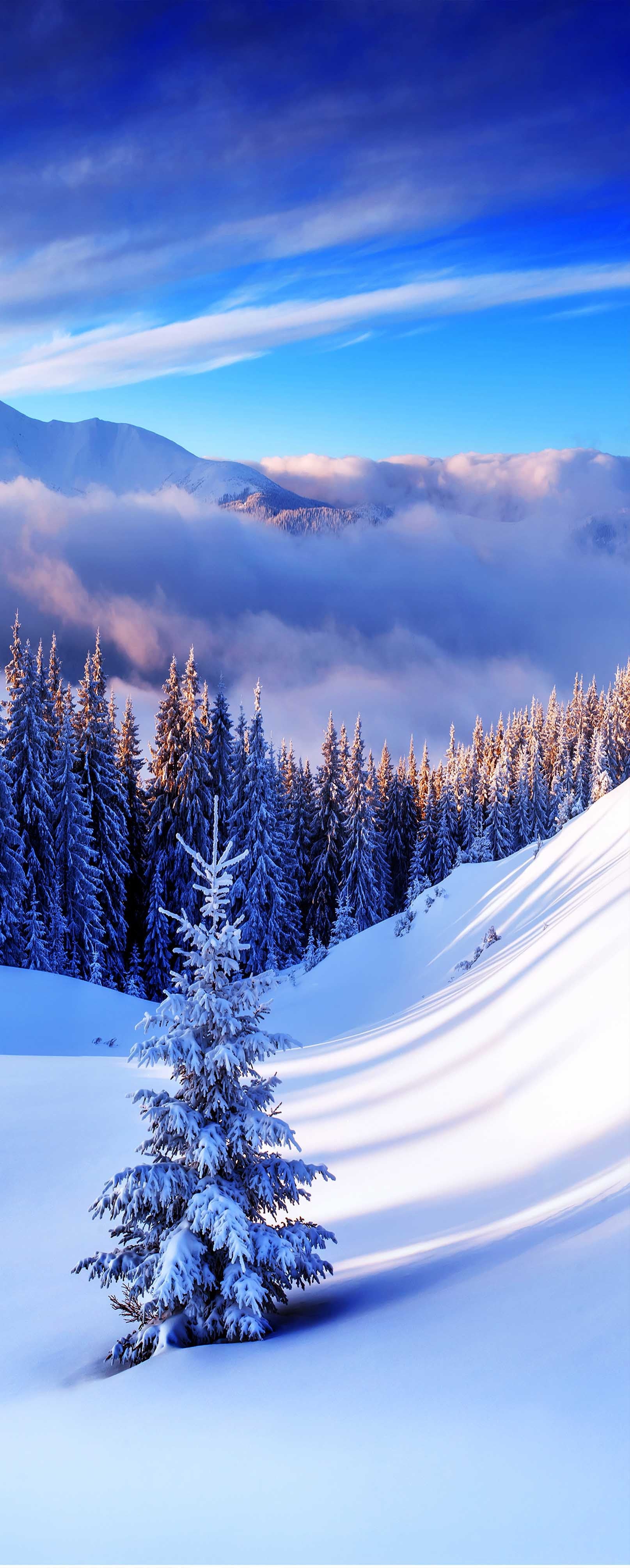 3D Foggy Snow Forest 725 Stair Risers Wallpaper AJ Wallpaper