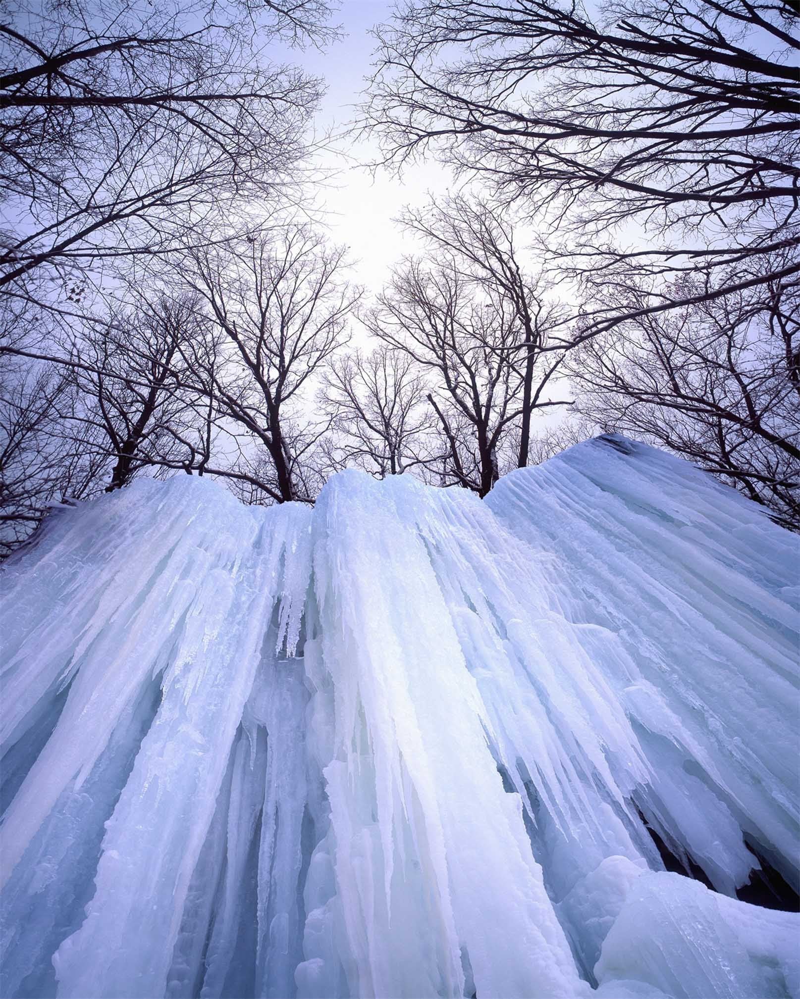 3D Bare Trees Frozen Waterfalls 715 Stair Risers Wallpaper AJ Wallpaper