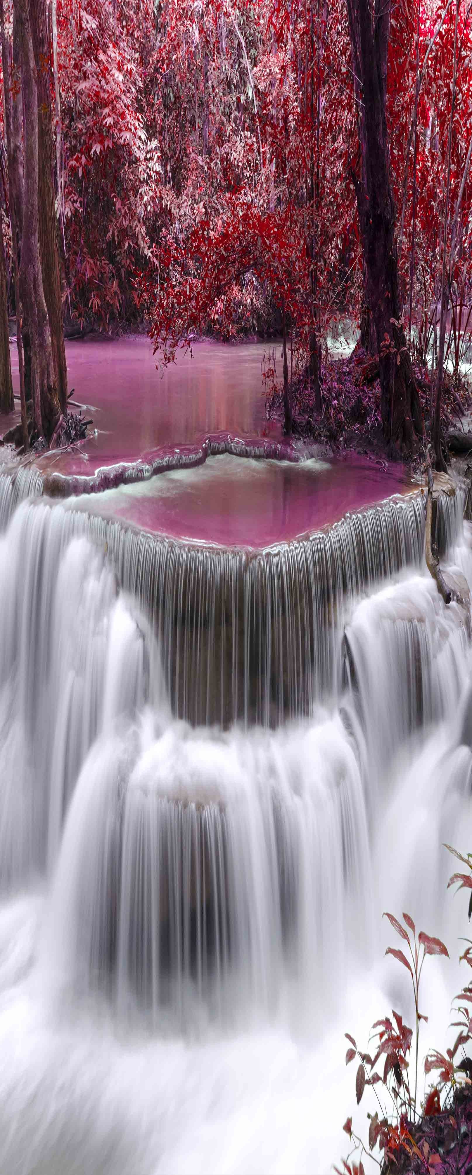 3D River Falls Red Trees 893 Stair Risers Wallpaper AJ Wallpaper