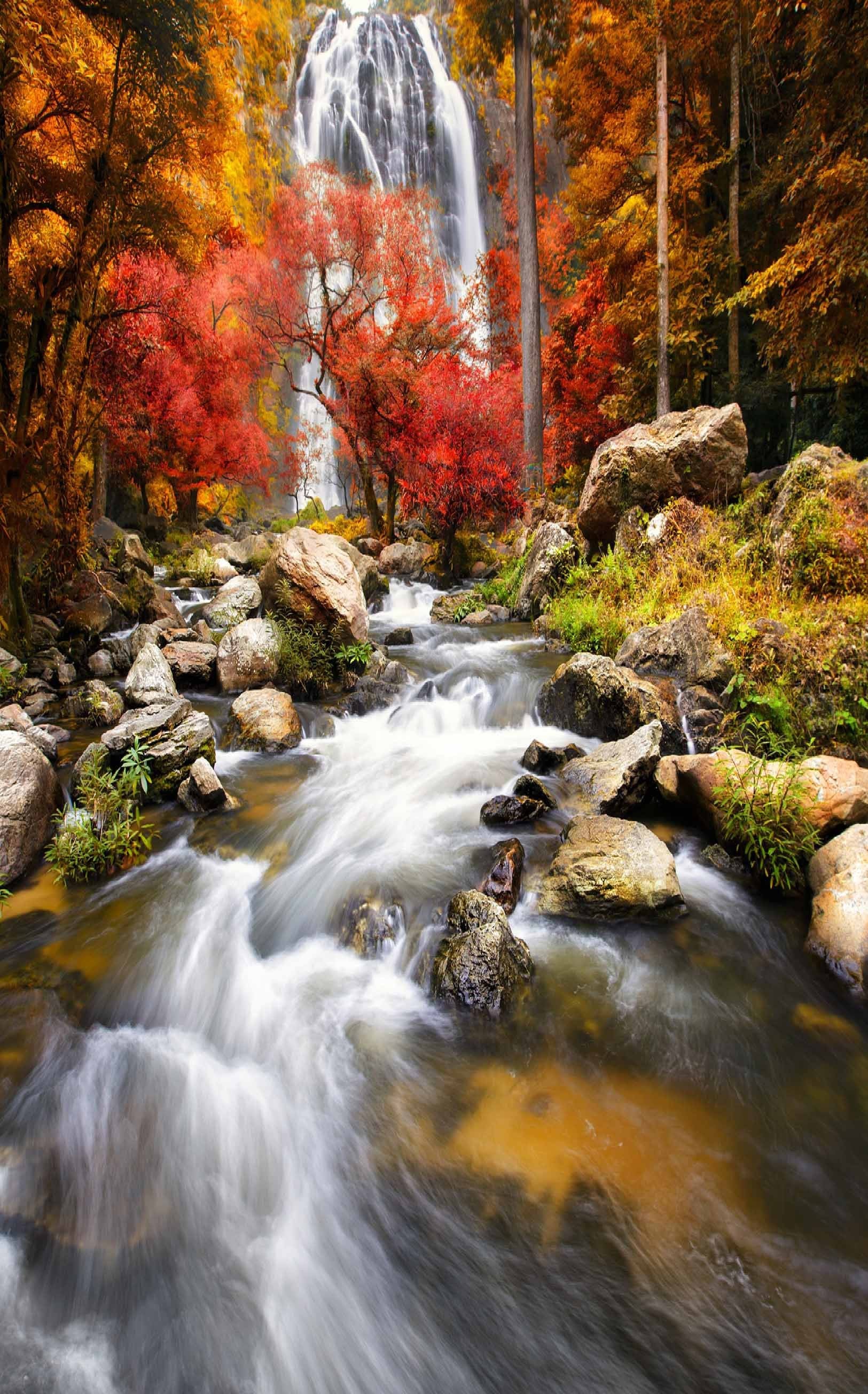 3D Waterfall Autumn Scenery 899 Stair Risers Wallpaper AJ Wallpaper