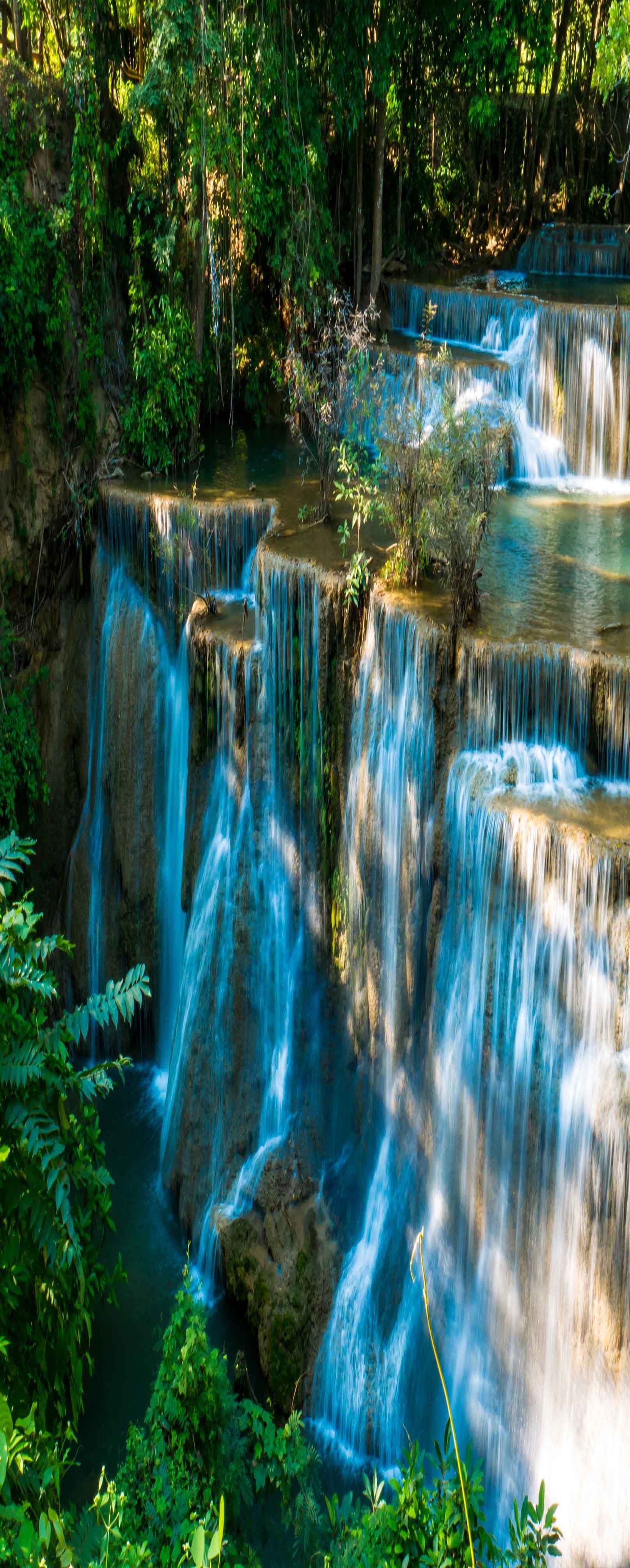 3D Forest Shiny Waterfalls 890 Stair Risers Wallpaper AJ Wallpaper