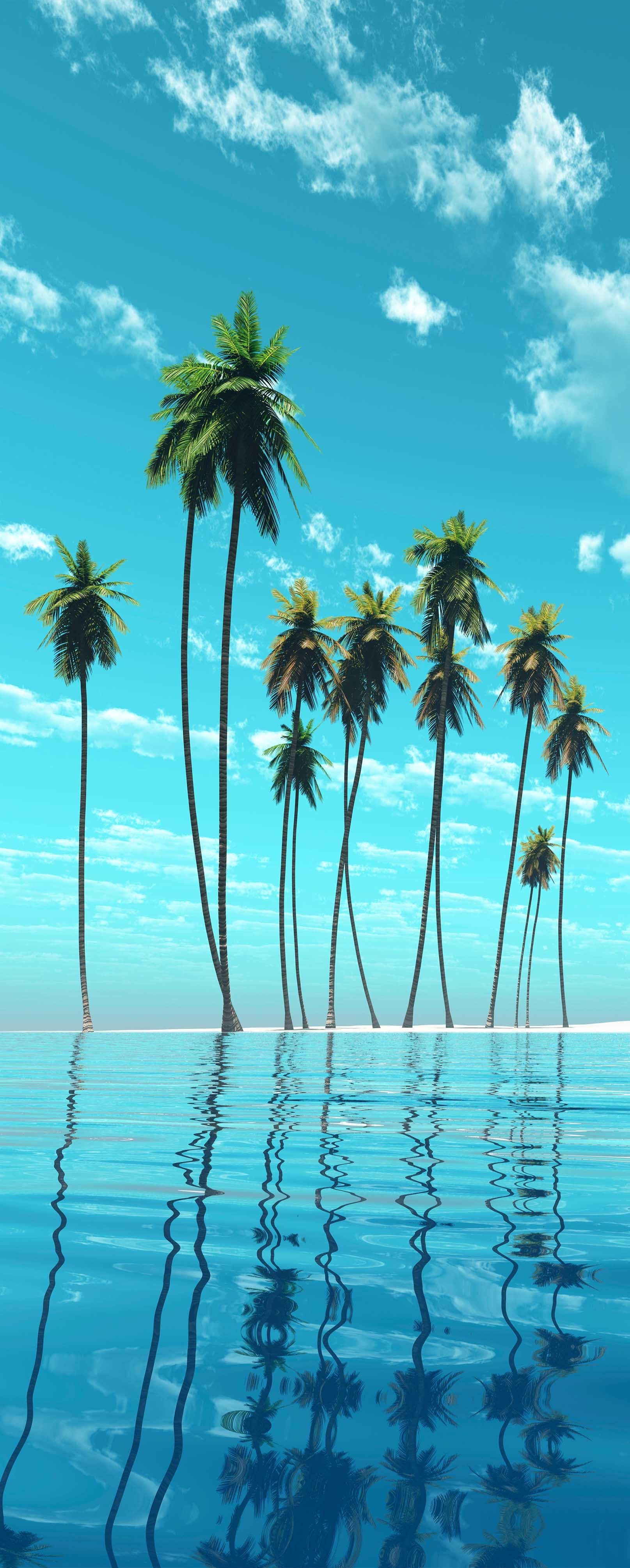 3D Seaside Coconut Trees 846 Stair Risers Wallpaper AJ Wallpaper