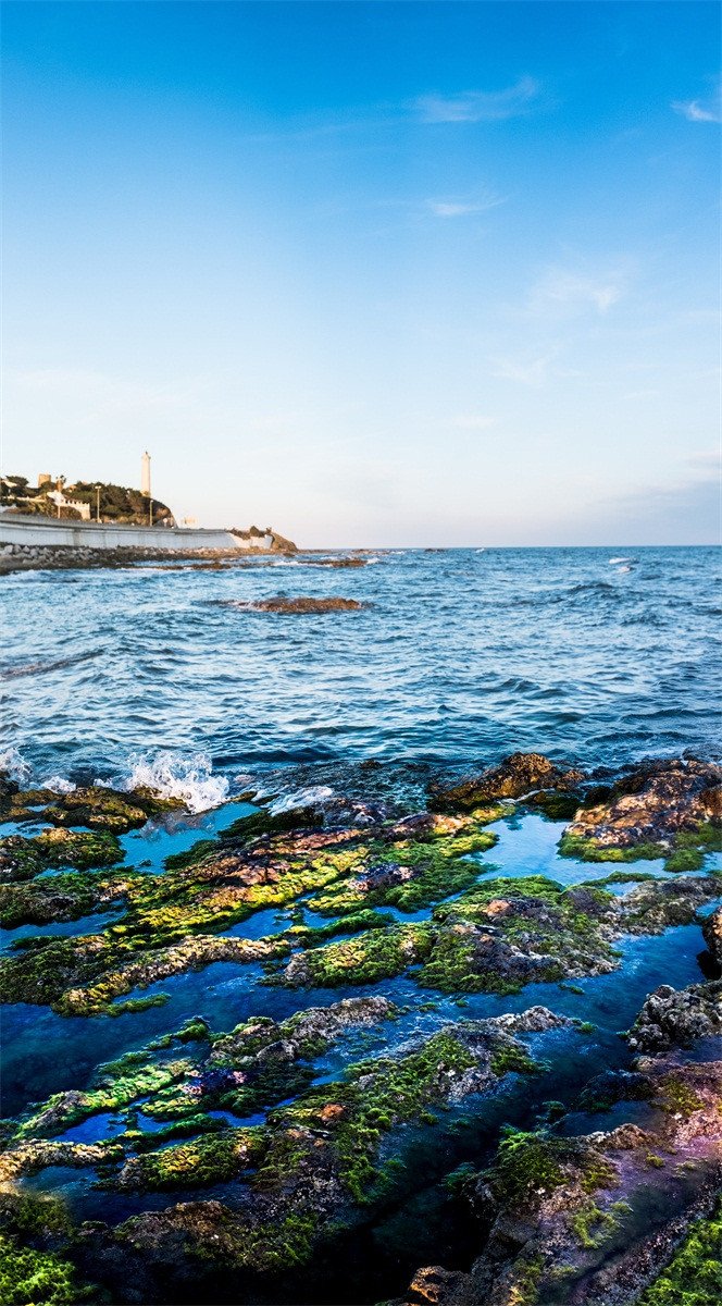 3D Seaside Color Swamp 492 Stair Risers Wallpaper AJ Wallpaper