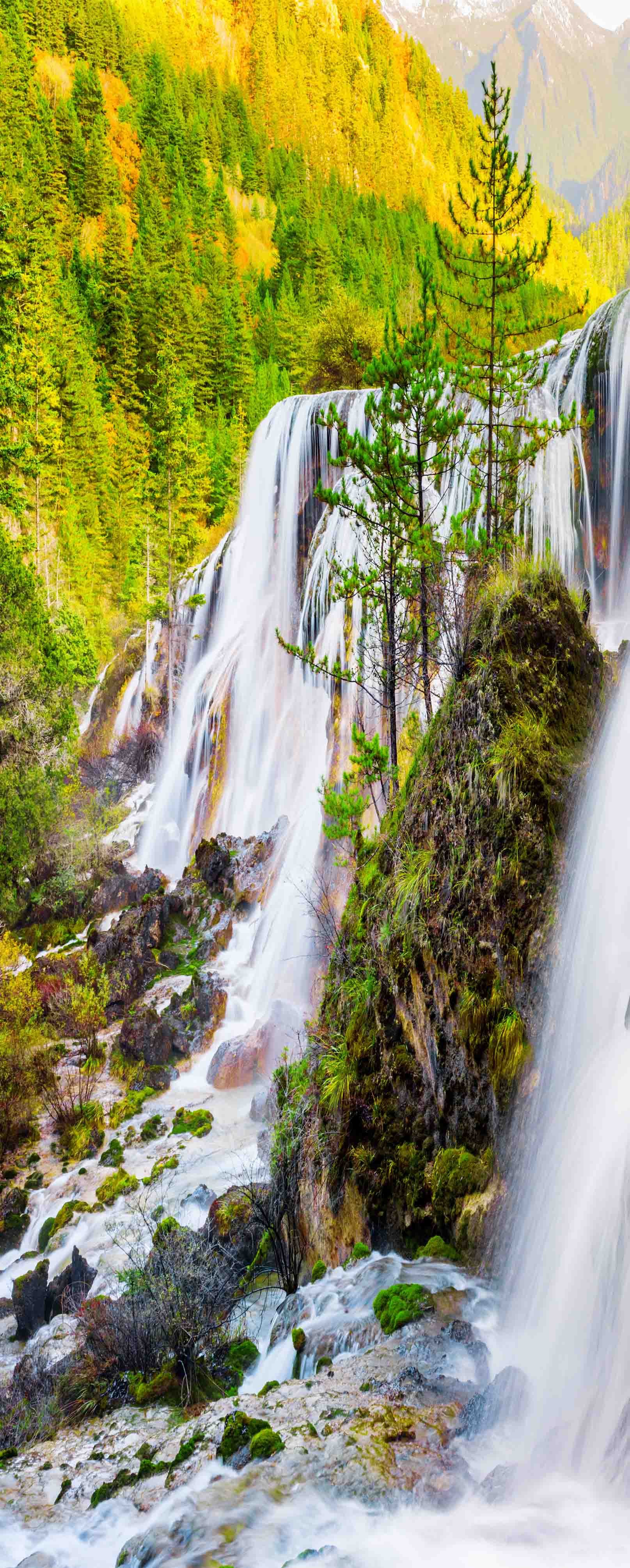 3D Mountain Forest Falls 834 Stair Risers Wallpaper AJ Wallpaper