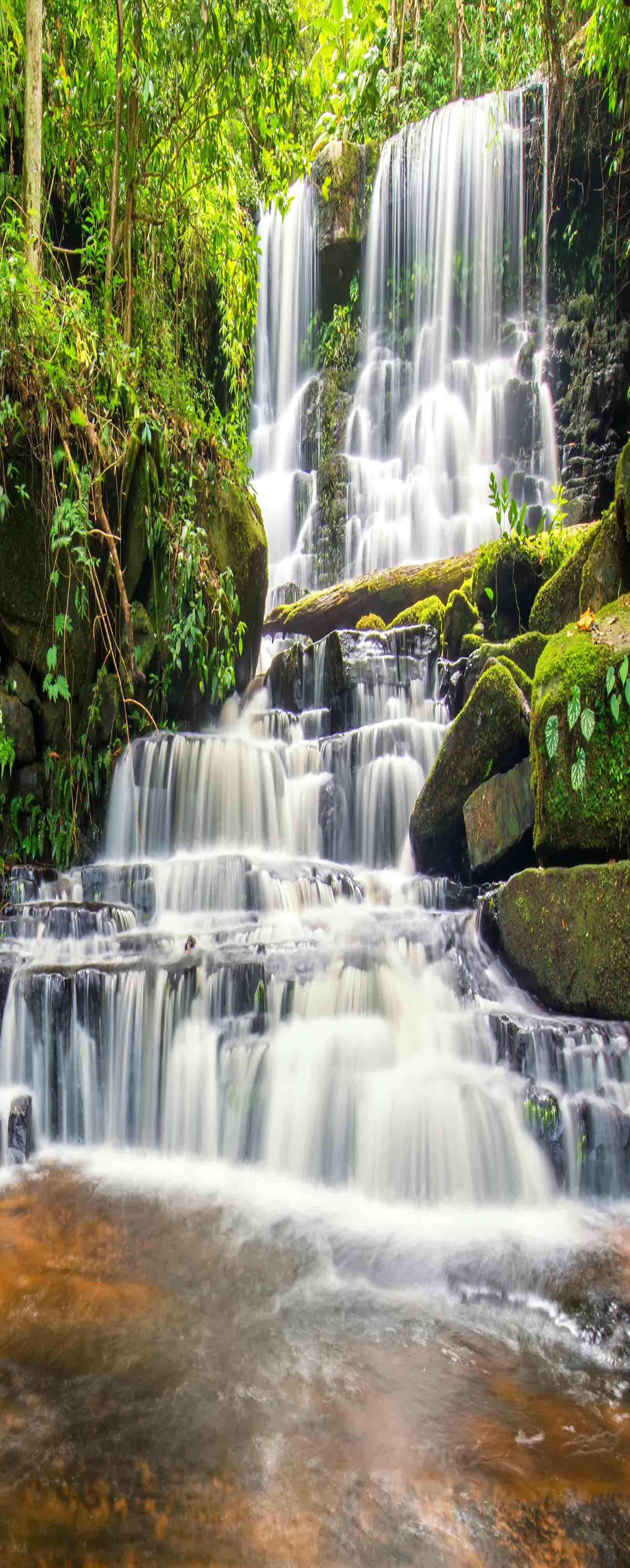 3D Quiet Forest Waterfalls 400 Stair Risers Wallpaper AJ Wallpaper