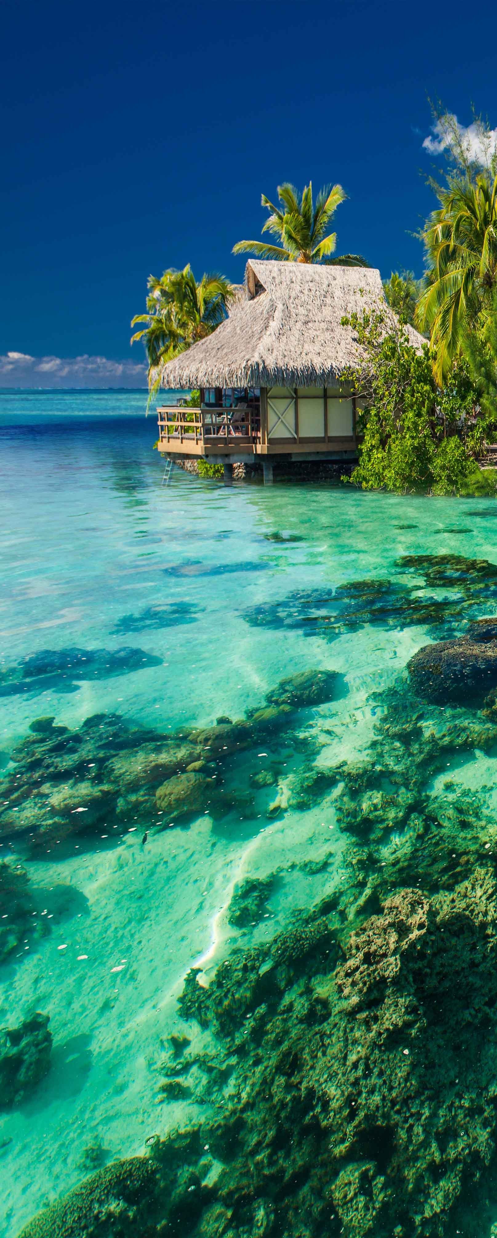 3D Seaside Hut 797 Stair Risers Wallpaper AJ Wallpaper