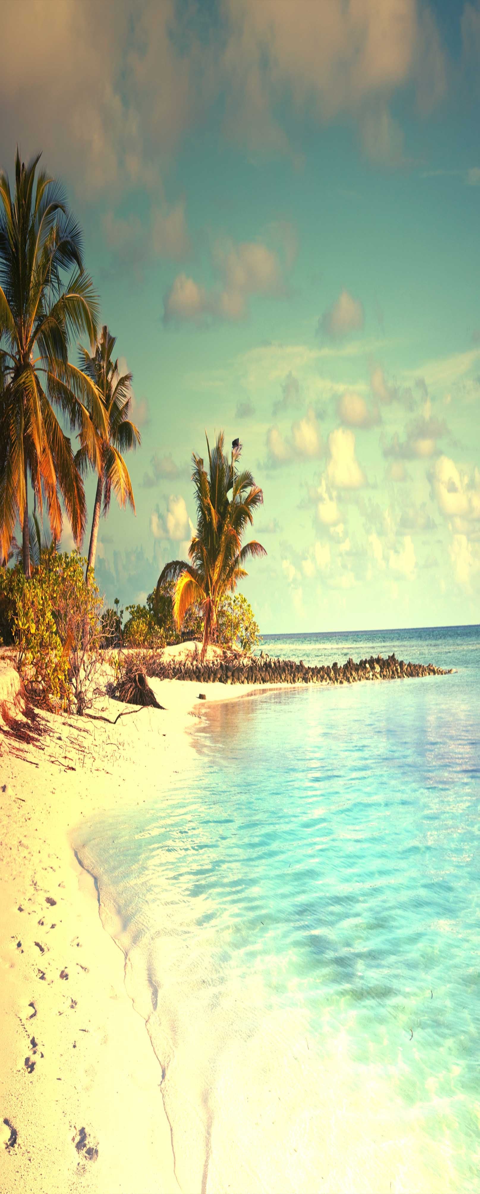 3D Tropical Beach Scenery 796 Stair Risers Wallpaper AJ Wallpaper