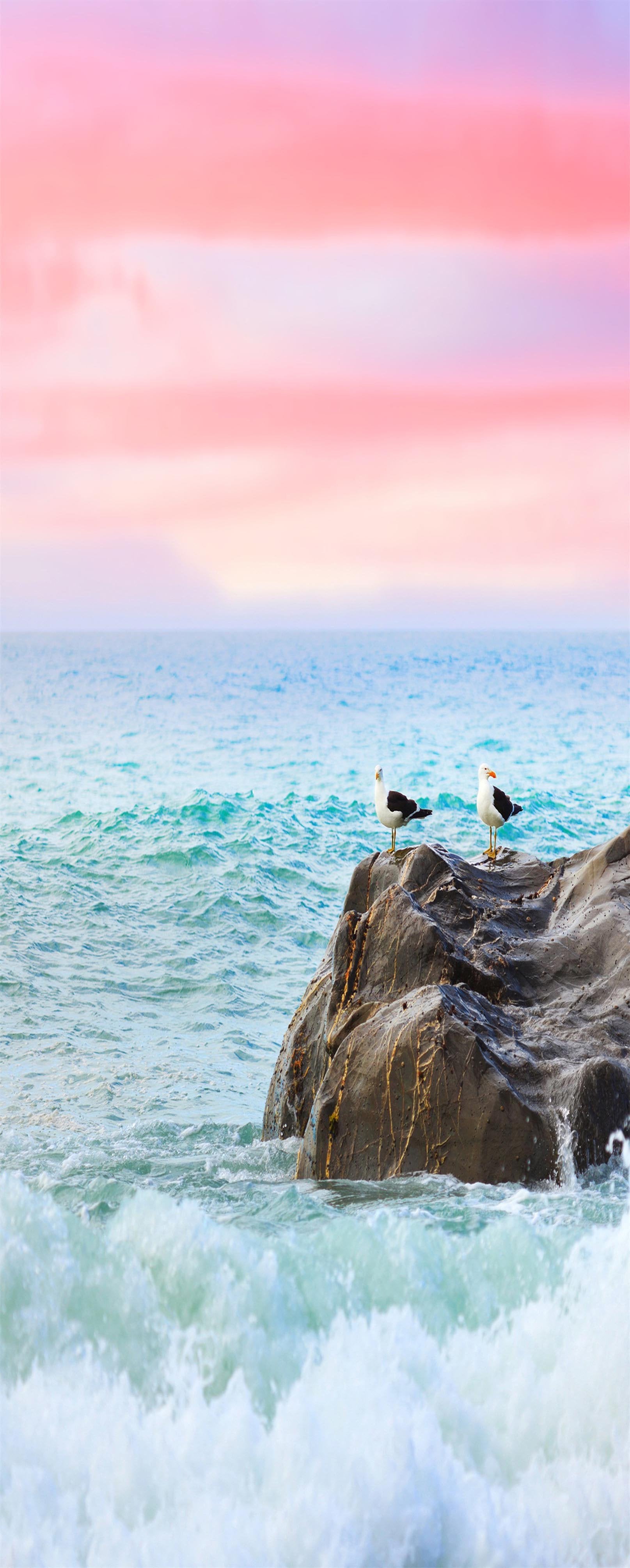 3D Seaside Birds 775 Stair Risers Wallpaper AJ Wallpaper