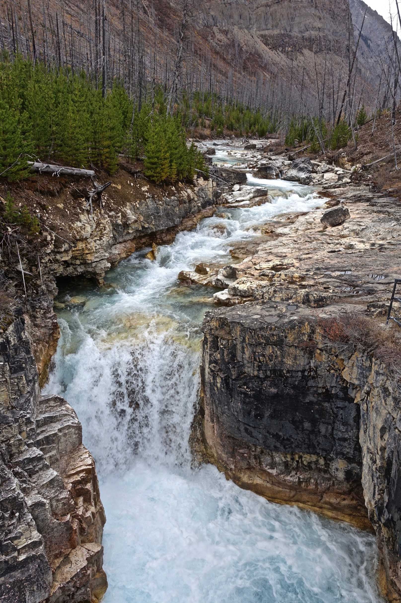 3D Meandering River 757 Stair Risers Wallpaper AJ Wallpaper