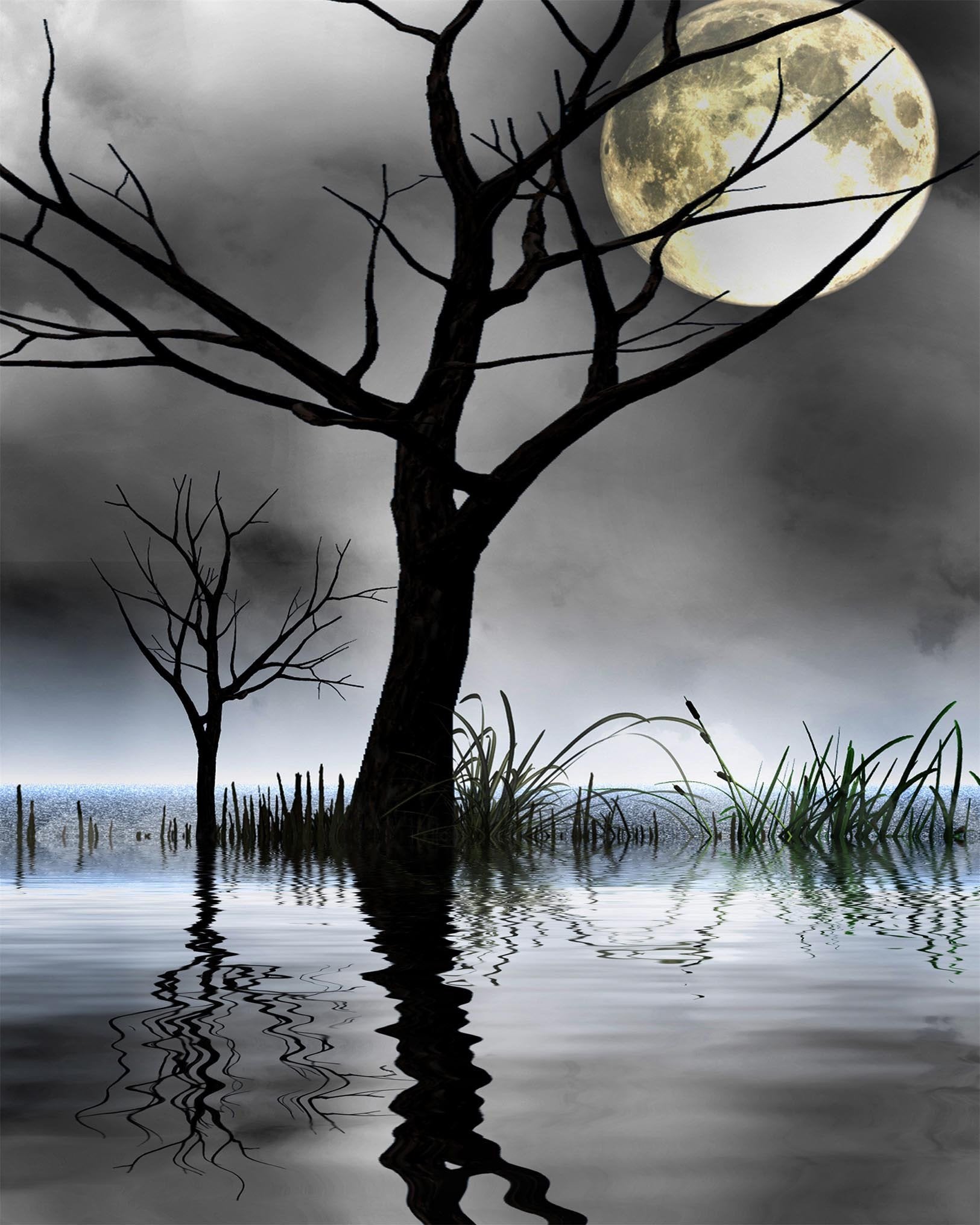 3D Sea Bare Trees Full Moon 1030 Stair Risers Wallpaper AJ Wallpaper