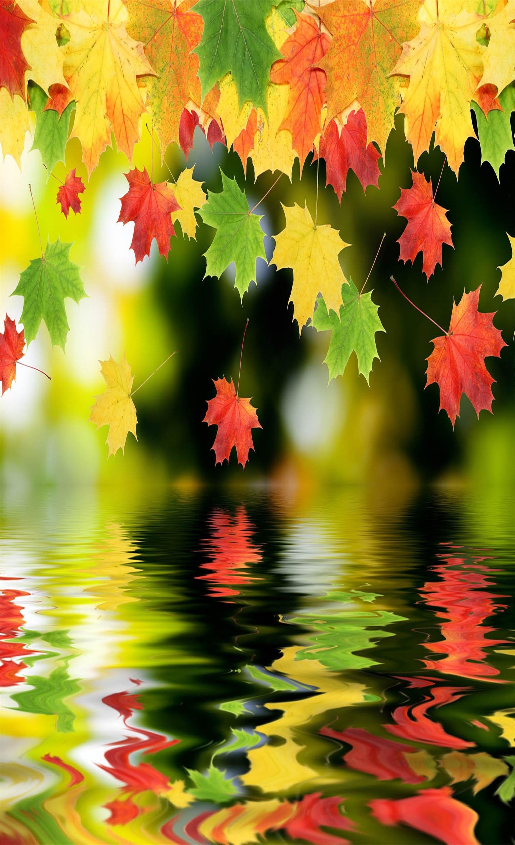 3D Lake Falling Leaves 1269 Stair Risers Wallpaper AJ Wallpaper