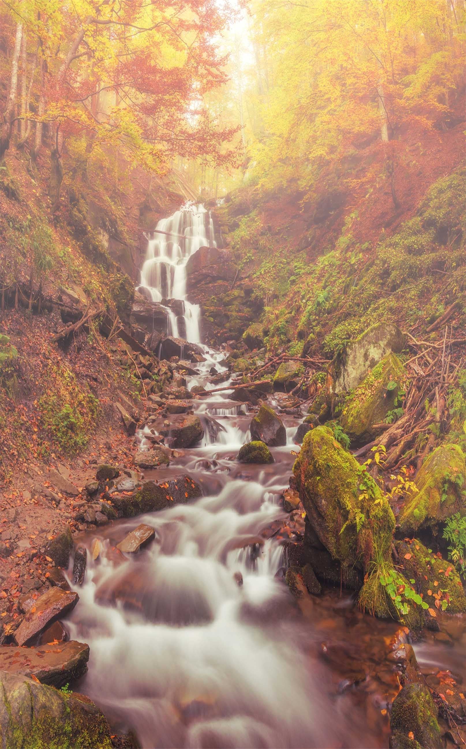 3D Forest River 1265 Stair Risers Wallpaper AJ Wallpaper