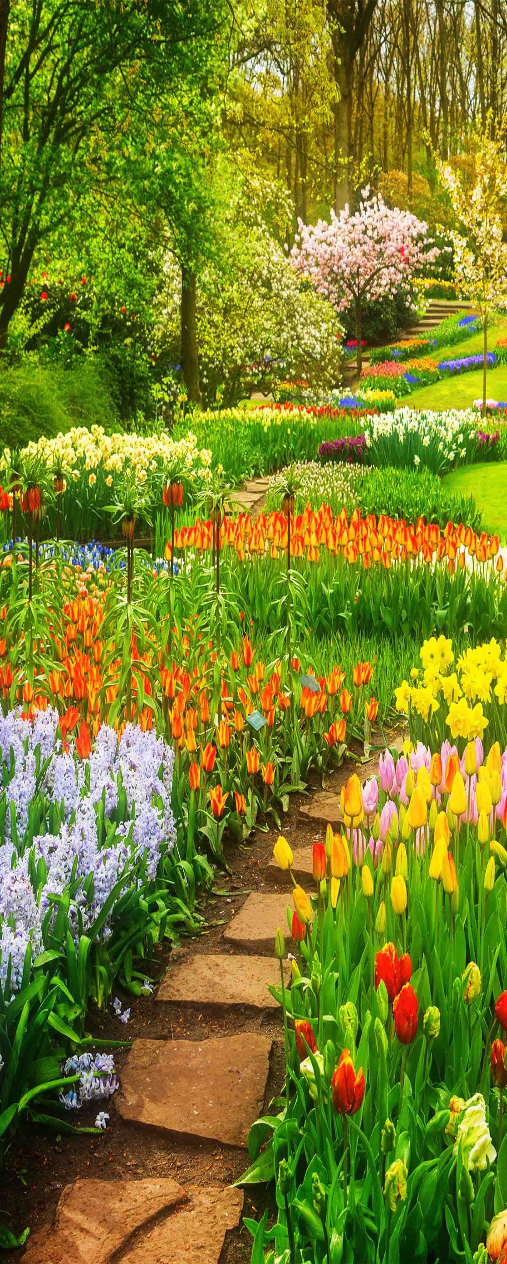 3D Bright Flowers 1260 Stair Risers Wallpaper AJ Wallpaper