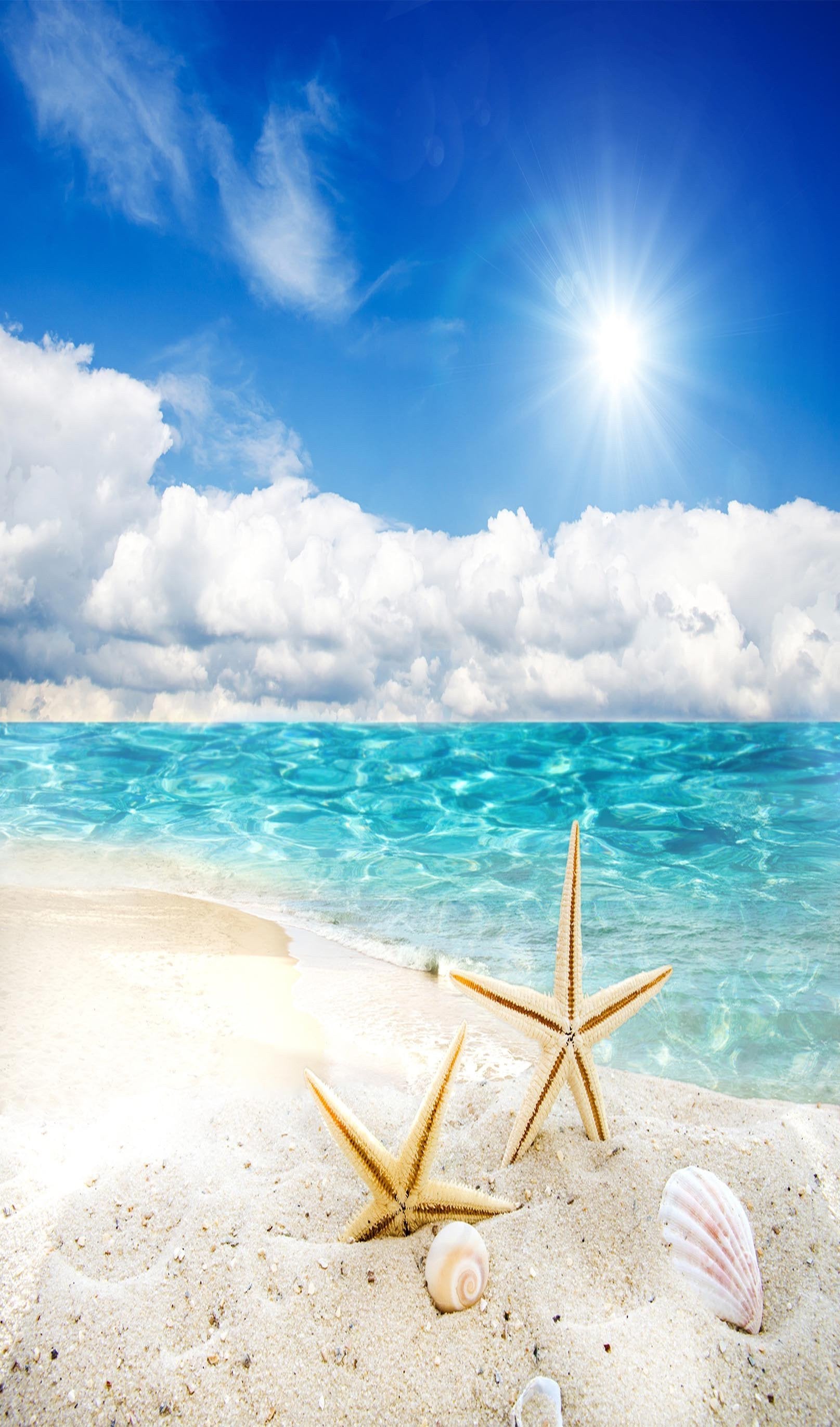 3D Beach Starfishes 1303 Stair Risers Wallpaper AJ Wallpaper