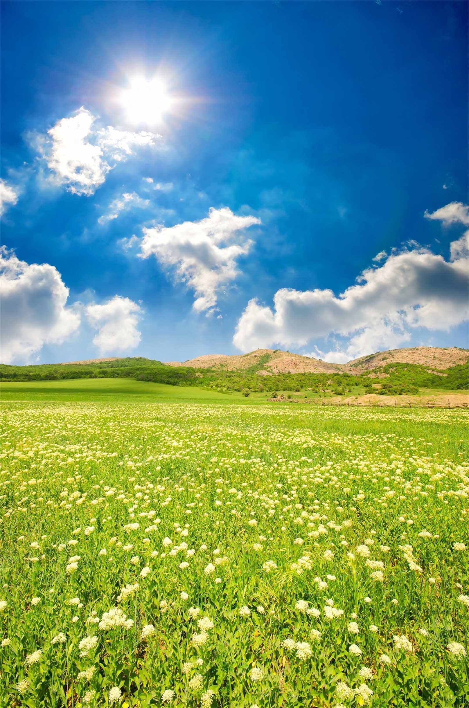 3D Grassland Flowers 1460 Stair Risers Wallpaper AJ Wallpaper