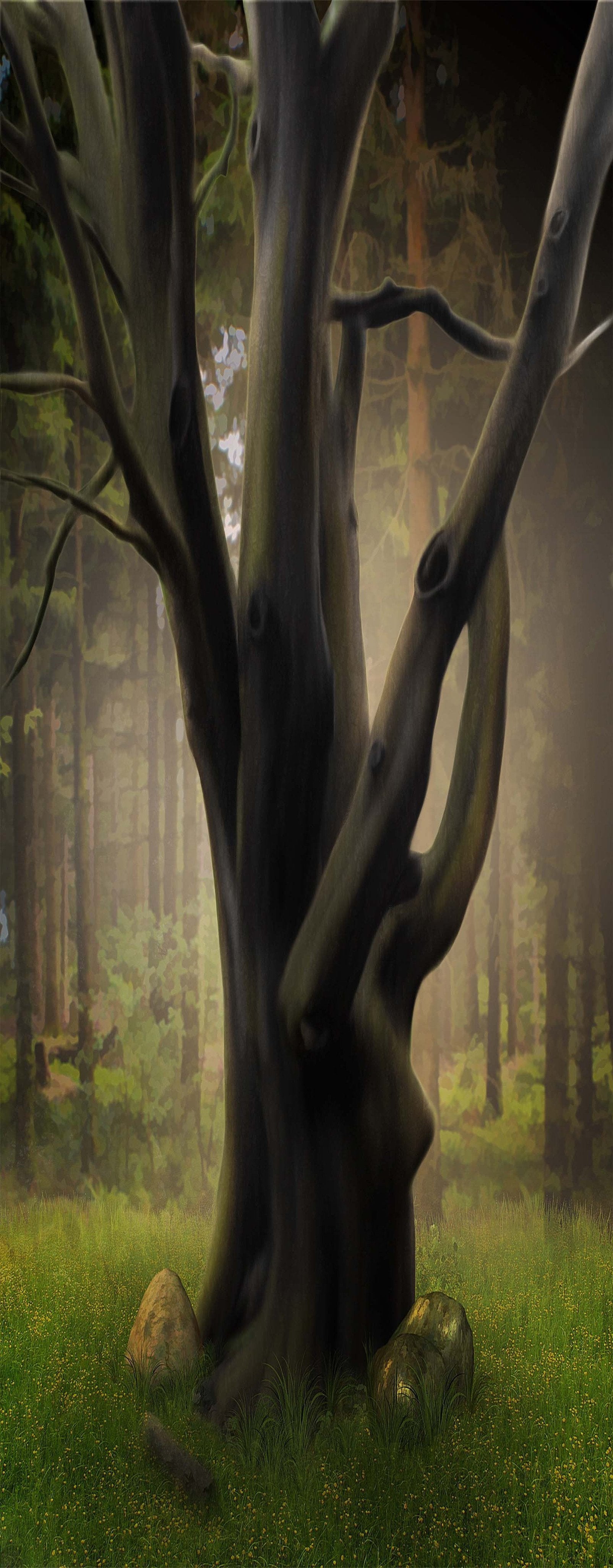 3D Forest Grand Tree 1608 Stair Risers Wallpaper AJ Wallpaper