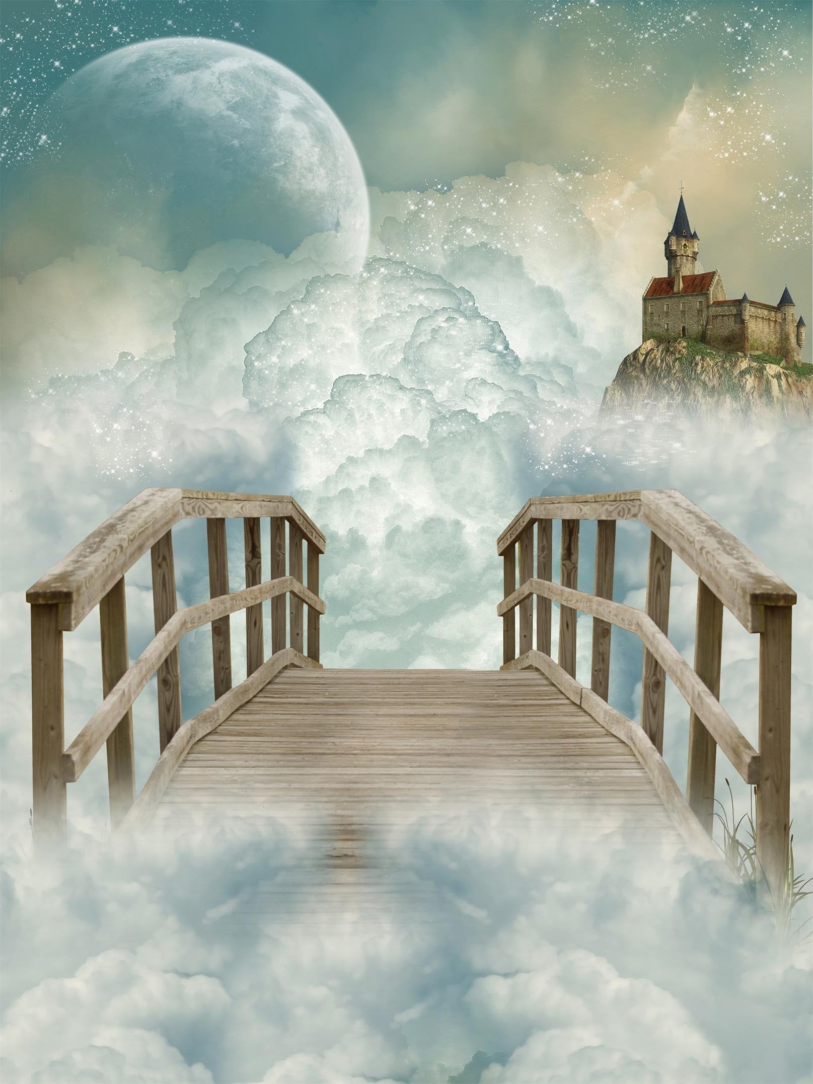3D Sky Bridge Castle 1582 Stair Risers Wallpaper AJ Wallpaper