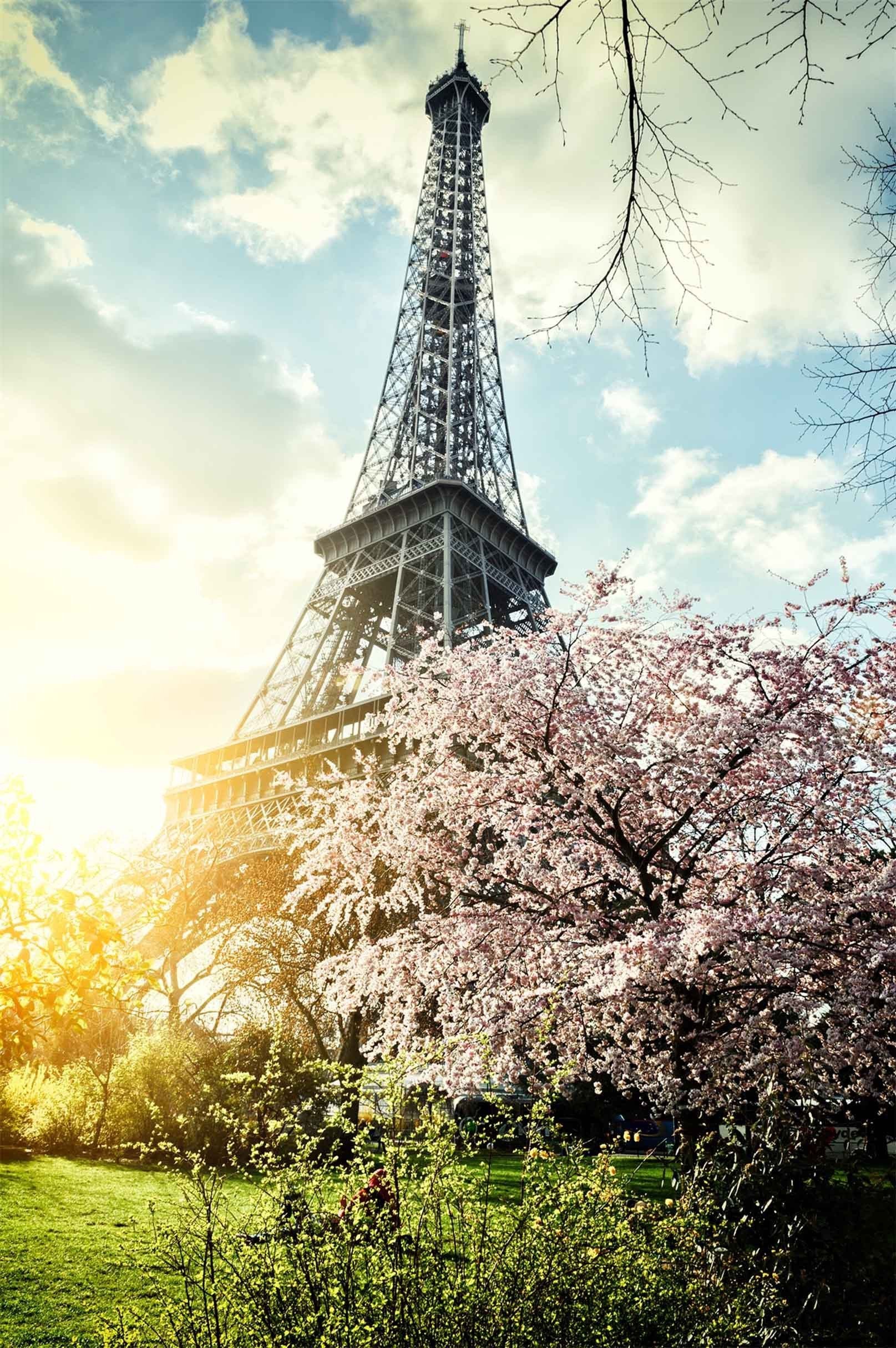 3D Eiffel Tower Flowers 1579 Stair Risers Wallpaper AJ Wallpaper