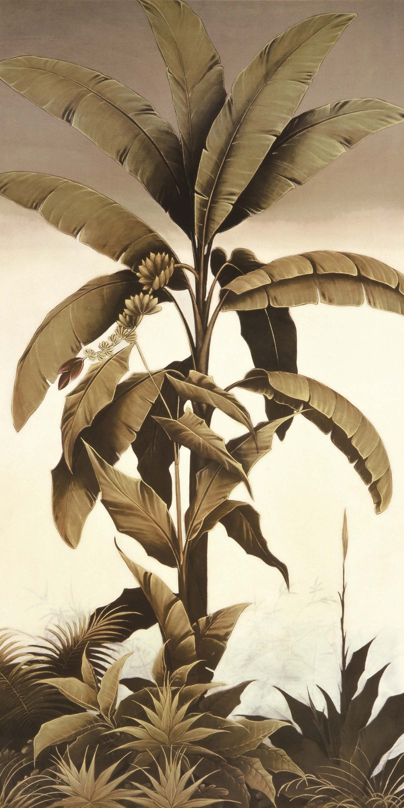 3D Elegant Banana Tree 1571 Stair Risers Wallpaper AJ Wallpaper