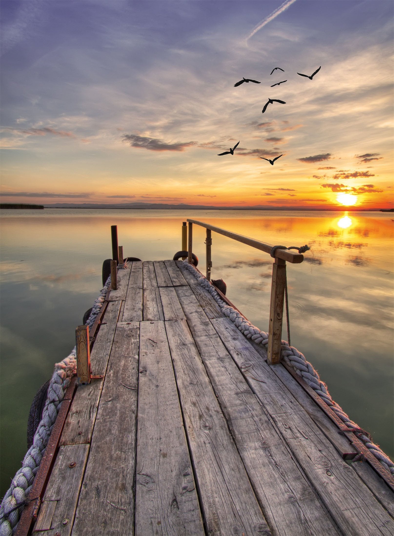 3D Sea Wood Bridge Sunset 1570 Stair Risers Wallpaper AJ Wallpaper