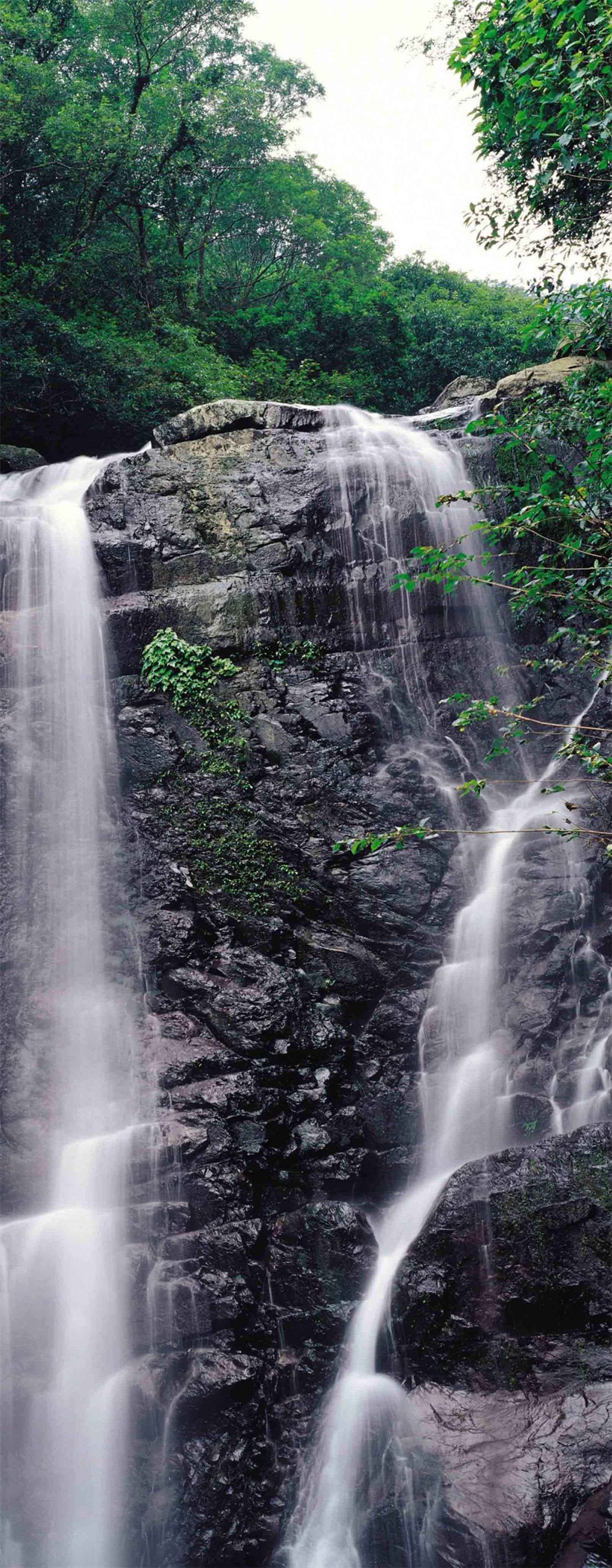 3D Forest River Waterfall 1560 Stair Risers Wallpaper AJ Wallpaper